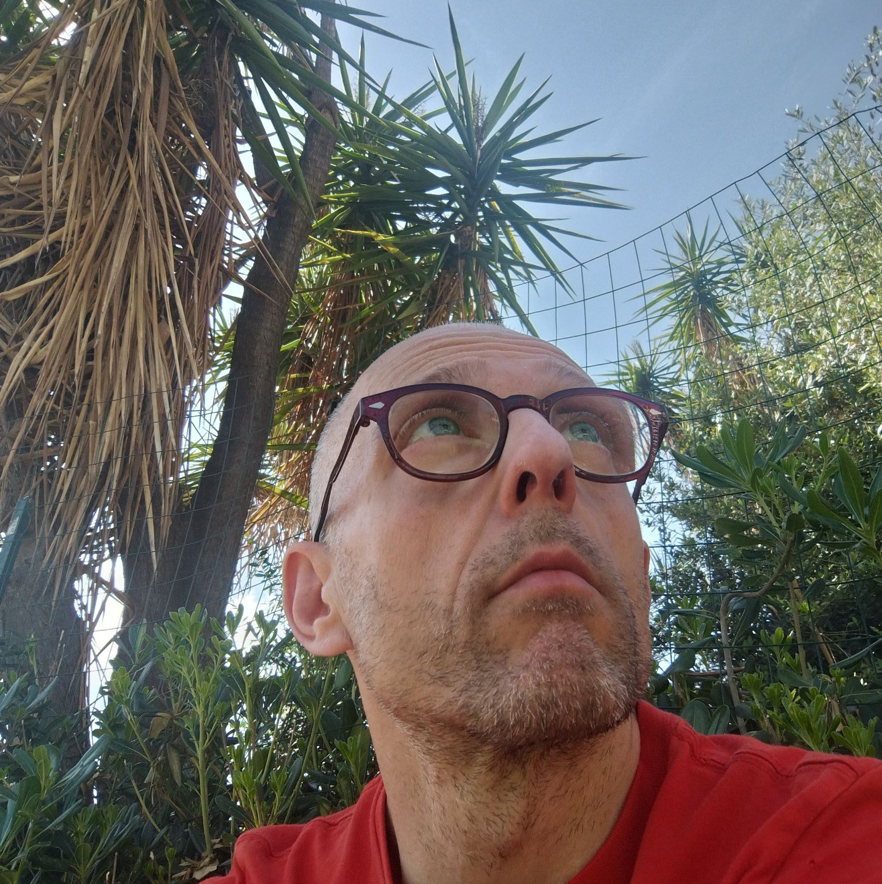 Angelo Lattuga