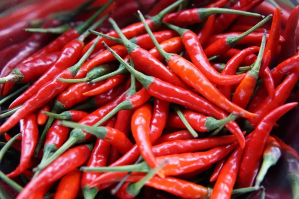 peperoncini piccanti