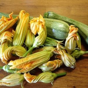 fiori di zucca
