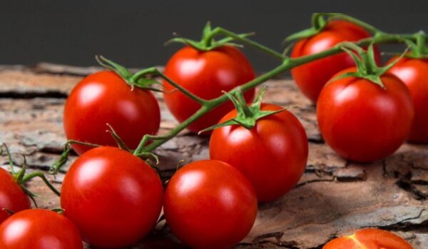pomodoro ciliegino