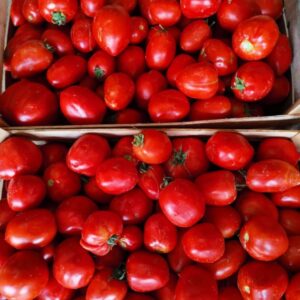 206600926 788800998402997 8707438855330493814 n