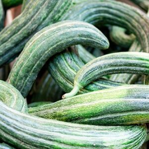 cetriolo cucummaro (3pz)