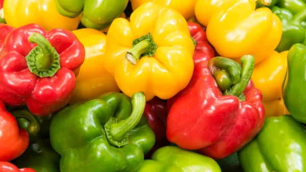 peperoni colorati