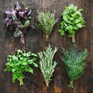 Erbe Aromatiche