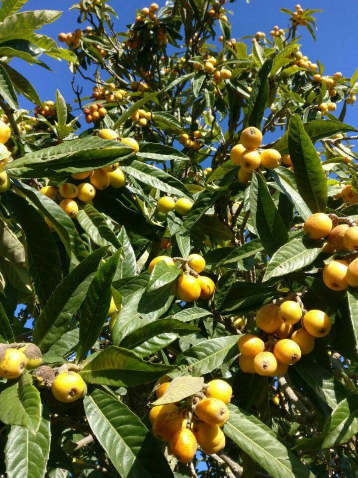 progetto senza titolo 2025 08 07t123812.547