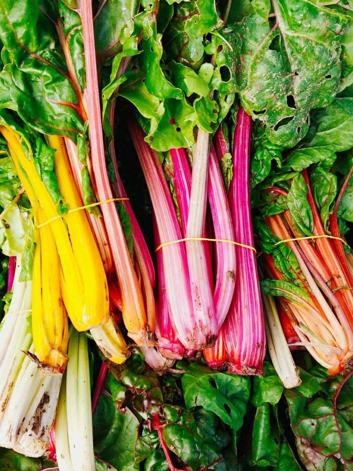 progetto senza titolo 2025 08 07t124012.878