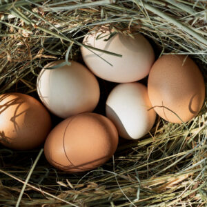 uova fresche da galline ruspanti