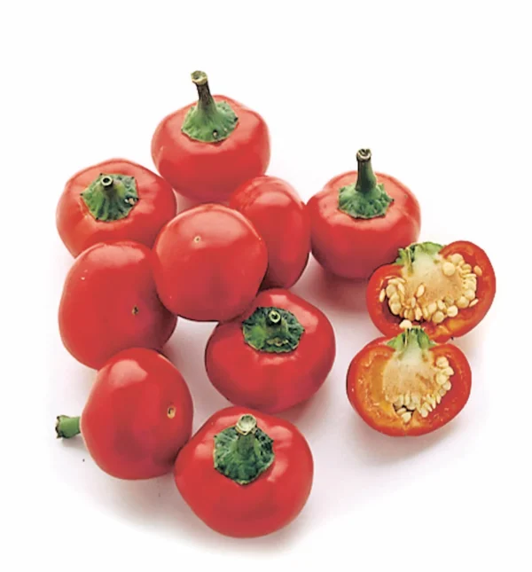 peperoncino dolce tondo