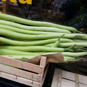 zucchina dei tenerumi